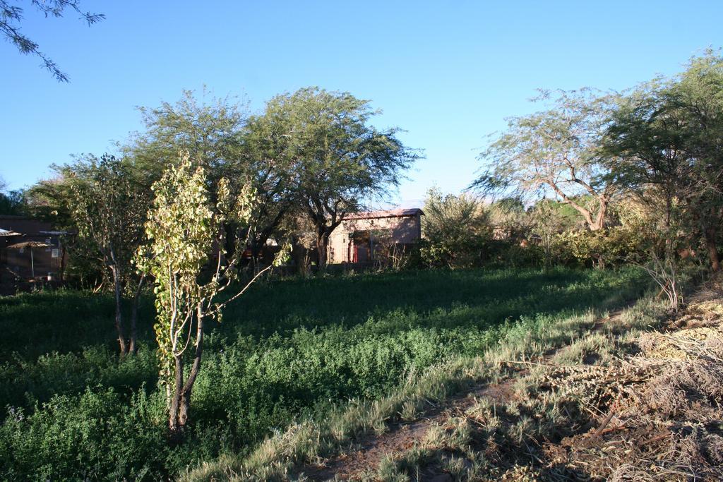 Quinta Adela Bed & Breakfast San Pedro de Atacama Exterior foto