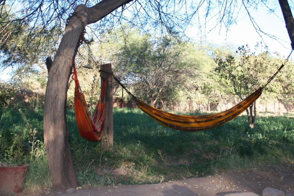 Quinta Adela Bed & Breakfast San Pedro de Atacama Exterior foto